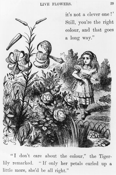 Tiger Lily, from 